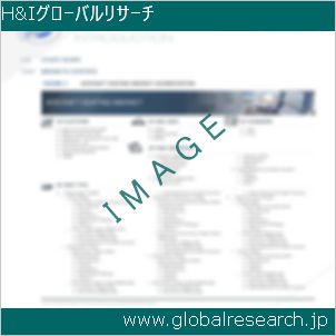 グローバルリサーチ調査レポートのイメージ